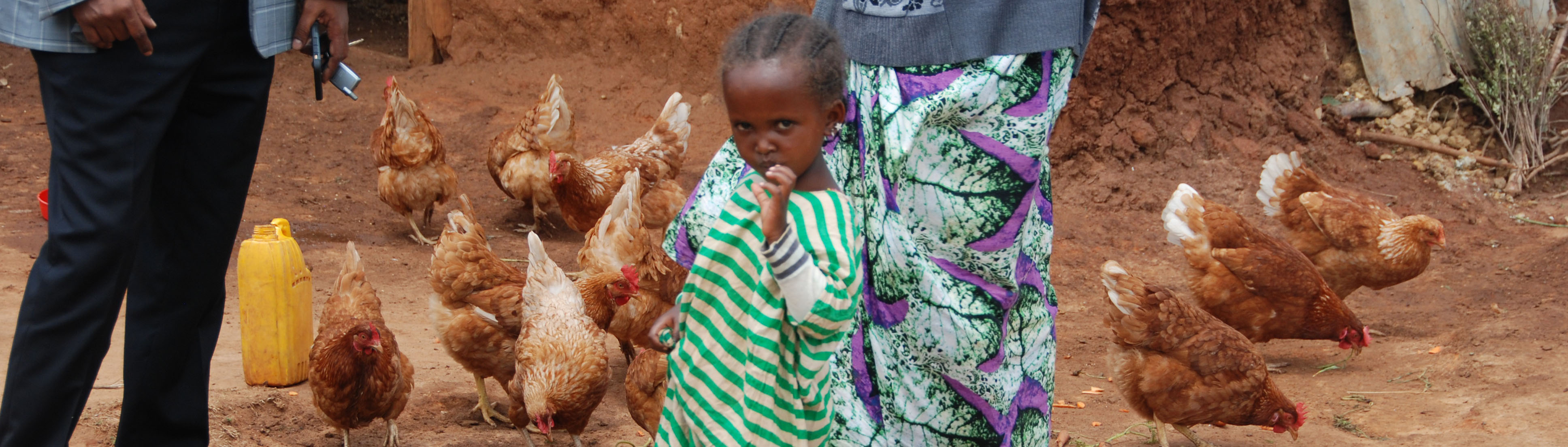 Ethiopian girl with chickens