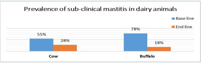 Mastitis control results