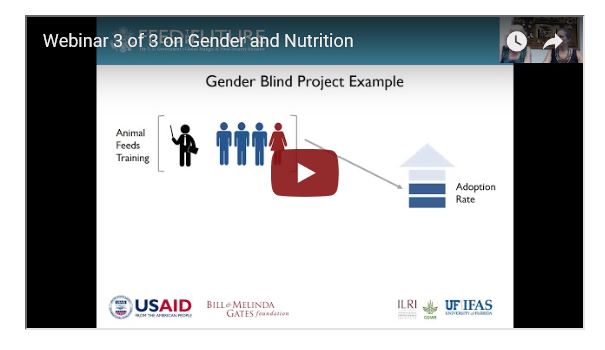 Screenshot from Webinars on gender and nutrition 