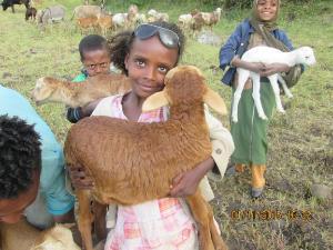 Ethiopian girl with sheep