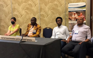 GGAA - Workshop: Meeting the Challenge of Reducing Enteric CH4 Emissions from Sub-Saharan Africa