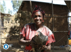 Woman with chicken